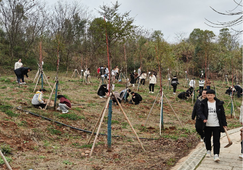 9cf960ae64974777acfbbef3b8120b26.png tapplay