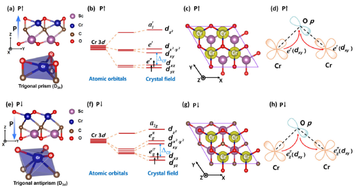 2531e461322046b4988a4122ffc5d9d5.png tapplay