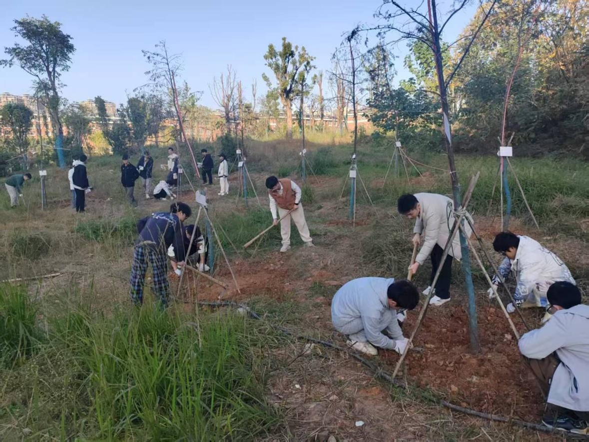 b440ffe3be784cb1932290ec2c939f4d.jpg tapplay